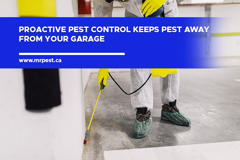 Proactive pest control keeps pest away from your garage