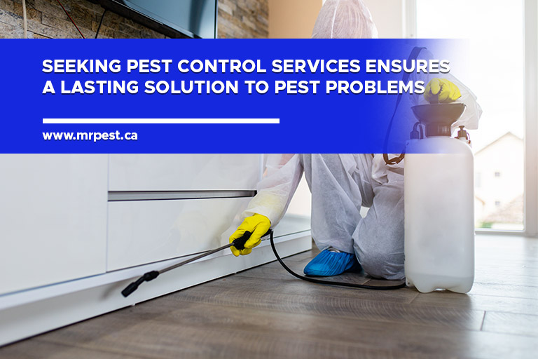 Seeking pest control services ensures a lasting solution to pest problems