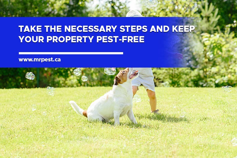 Take the necessary steps and keep your property pest-free