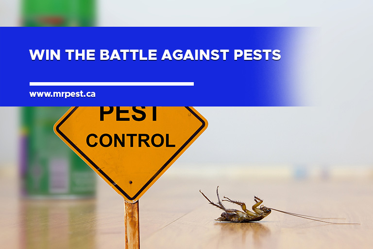 Win the battle against pests