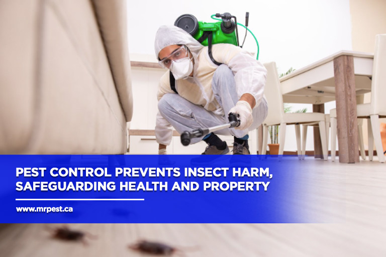 Pest control prevents insect harm, safeguarding health and property