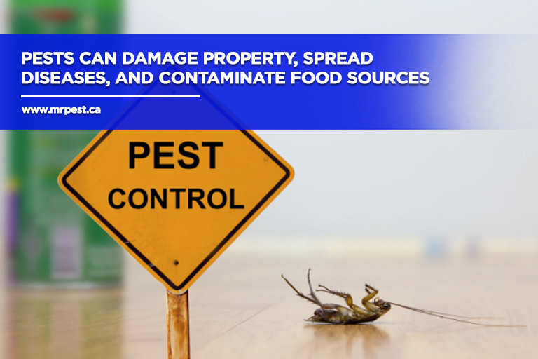 Pests can damage property, spread diseases, and contaminate food sources