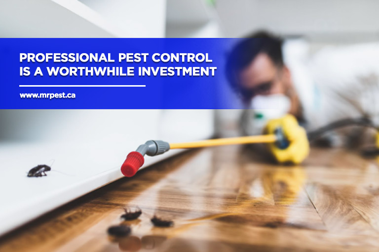 Professional pest control is a worthwhile investment