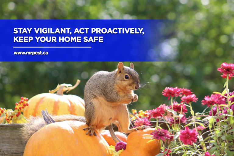 Stay vigilant, act proactively, keep your home safe