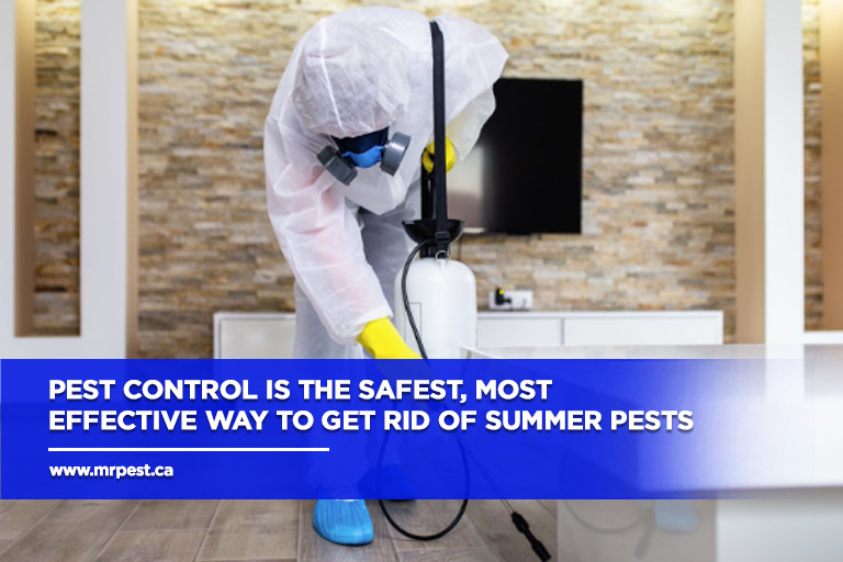 Pest control is the safest, most effective way to get rid of summer pests
