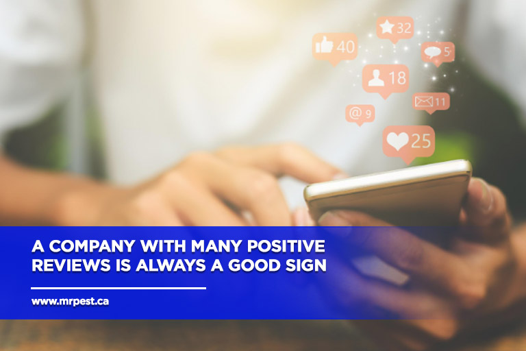 A-company-with-many-positive-reviews-is-always-a-good-sign