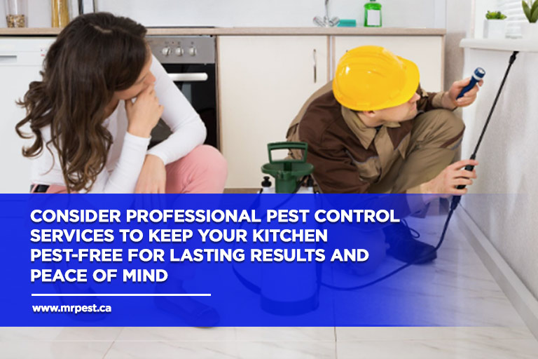 Consider professional pest control services to keep your kitchen pest-free for lasting results and peace of mind