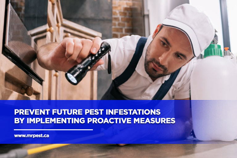 Prevent-future-pest-infestations-by-implementing-proactive-measures