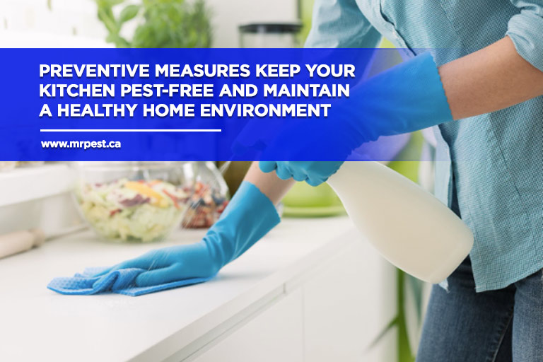 Preventive measures keep your kitchen pest-free and maintain a healthy home environment