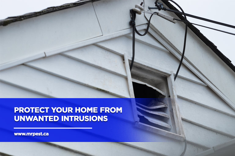 Protect-your-home-from-unwanted-intrusions