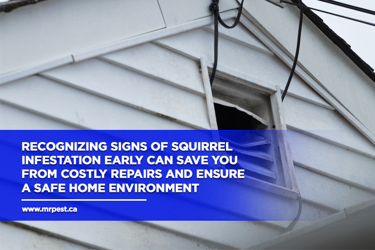 Recognizing-signs-of-squirrel-infestation-early-can-save-you-from-costly-repairs-and-ensure-a-safe-home-environment