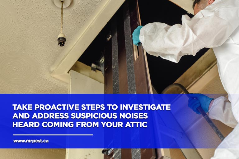 Take proactive steps to investigate and address suspicious noises heard coming from your attic