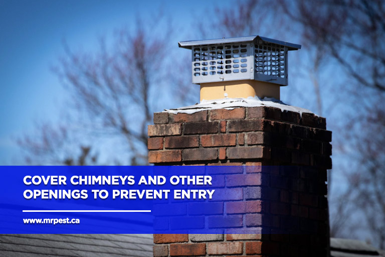 Cover-chimneys-and-other-openings-to-prevent-entry