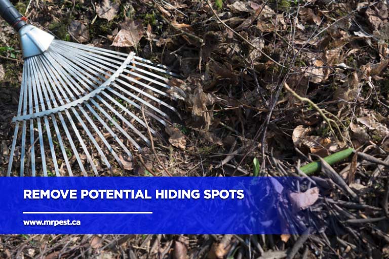 Remove potential hiding spots