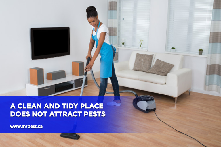A clean and tidy place does not attract pests