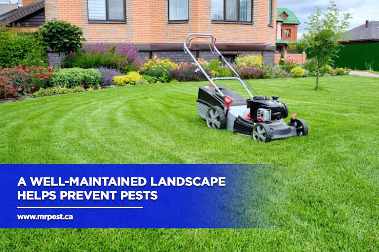 A well-maintained landscape helps prevent pests
