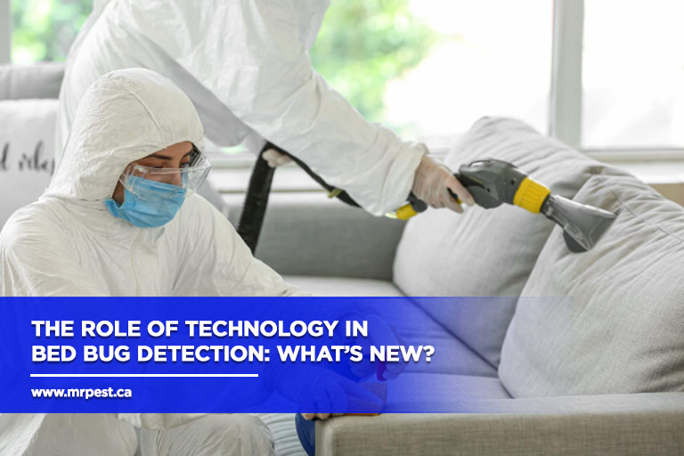 The Role of Technology in Bed Bug Detection: What’s New?