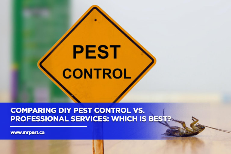 Comparing DIY Pest Control vs. Professional Services: Which is Best?