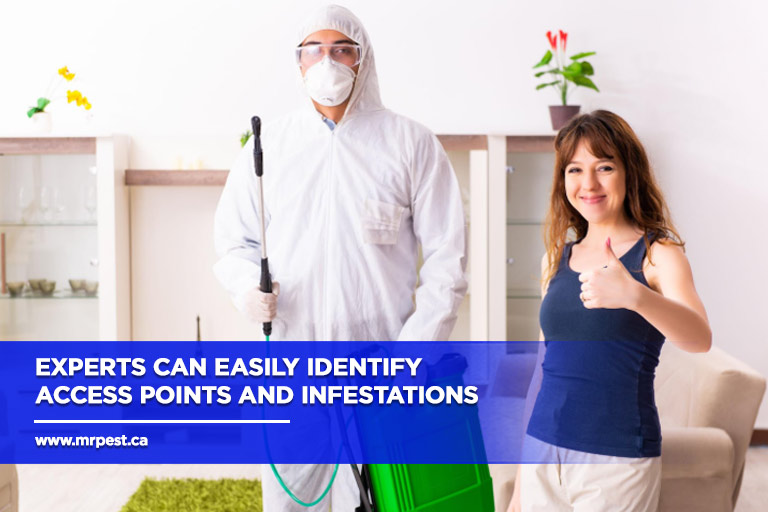 Experts-can-easily-identify-access-points-and-infestations