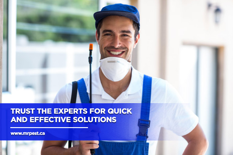 Trust the experts for quick and effective solutions