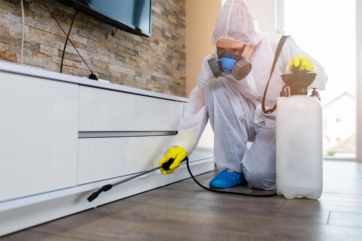 Experts-have-extensive-experience-with-local-pests