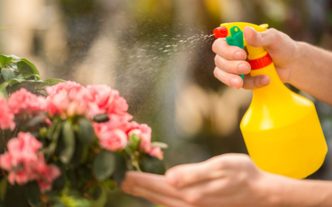 How to Create a Natural Pest Repellent for Your Garden This Fall