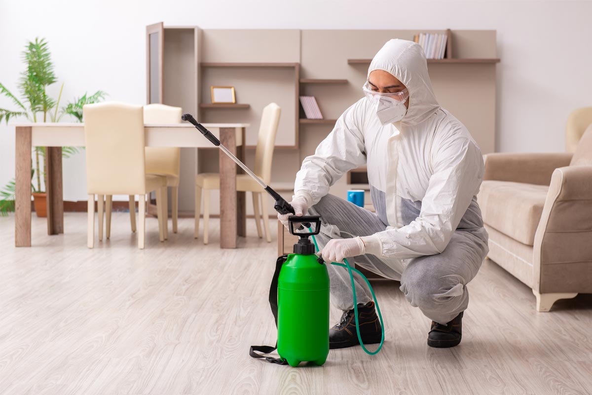 Only-experts-can-provide-effective-and-long-term-solutions