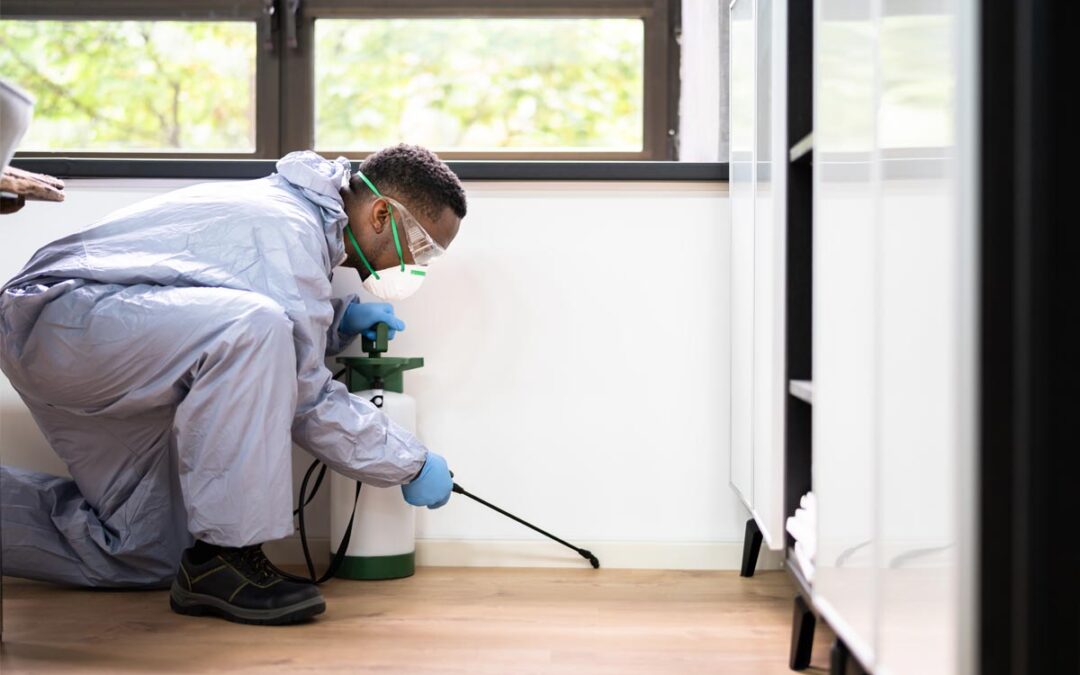 Top-Pest-Control-Tips-for-Condo-Dwellers-Protecting-Your-Space