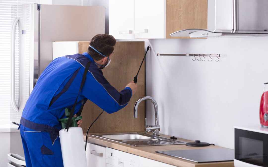 Typical-Condo-Pest-Control-Problems