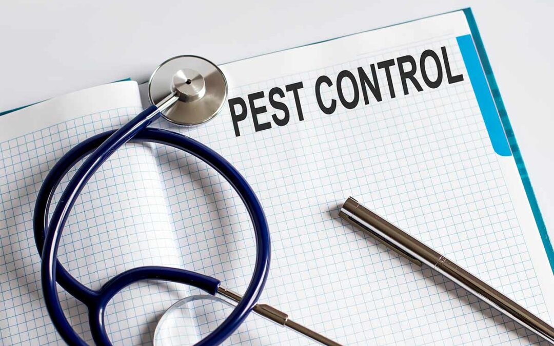 9 Essential Steps to Prevent Pests in Your Basement