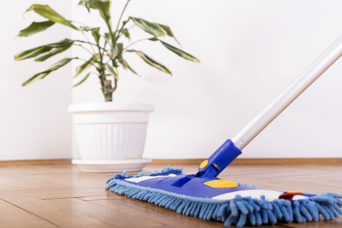 Preventing-Pest-Infestations-in-Your-Basement