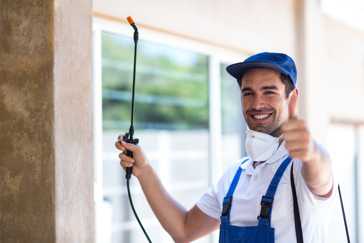 Schedule-Regular-Pest-Inspections