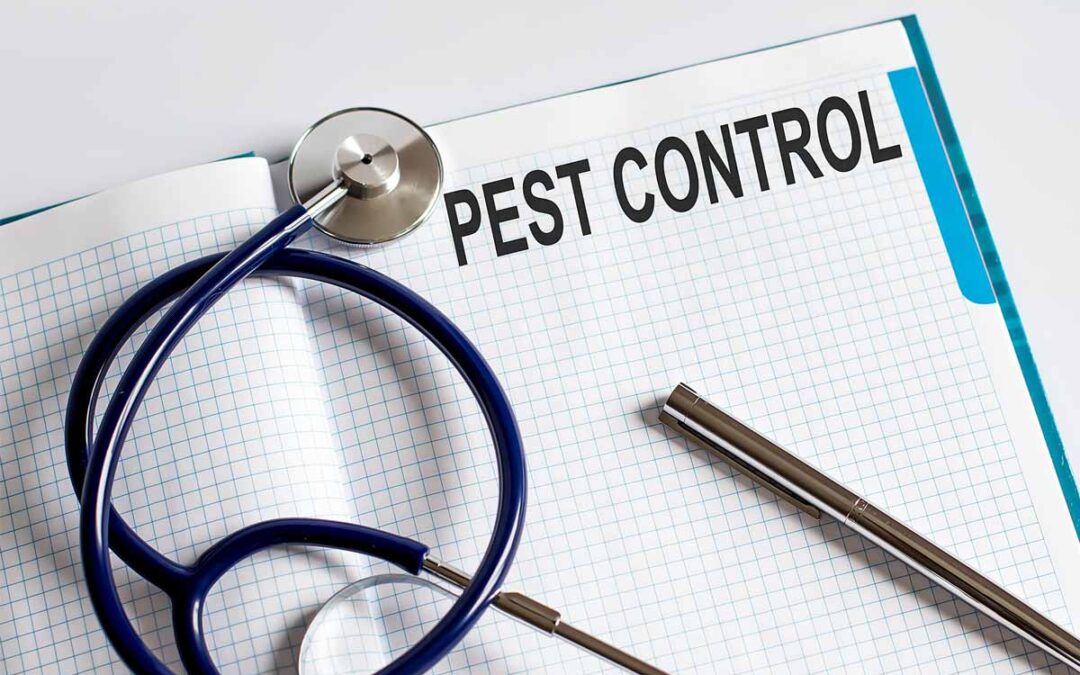 How to Choose the Right Pest Control Service for Your Condo