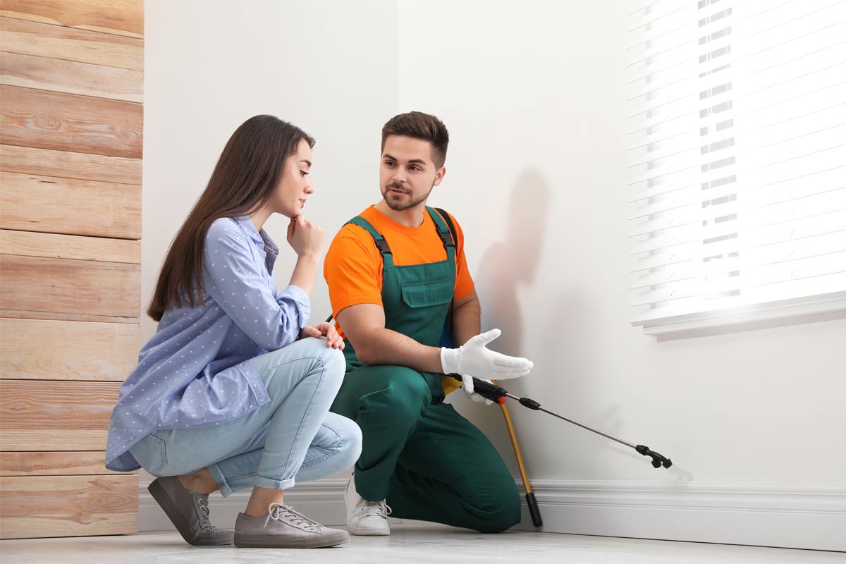 When-to-Call-a-Professional-Exterminator