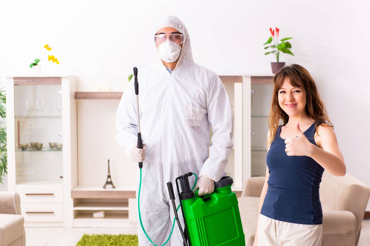 Why-Professional-Pest-Control-is-the-Best-Solution