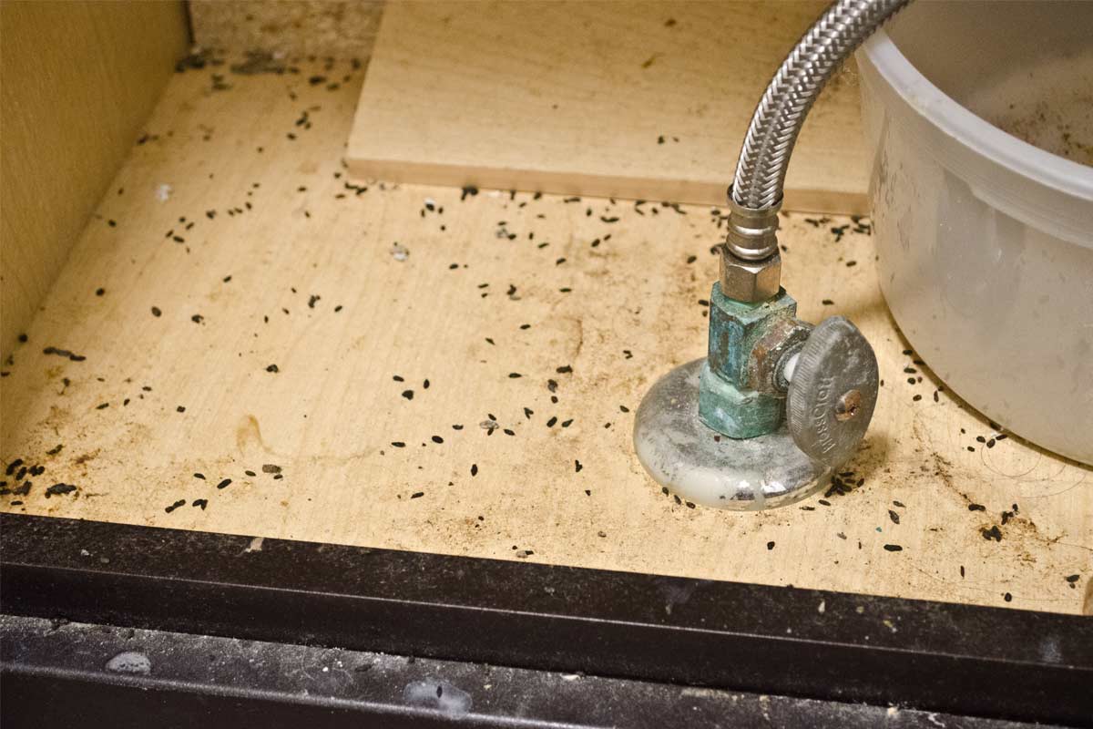 Recognizing-the-Warning-Signs