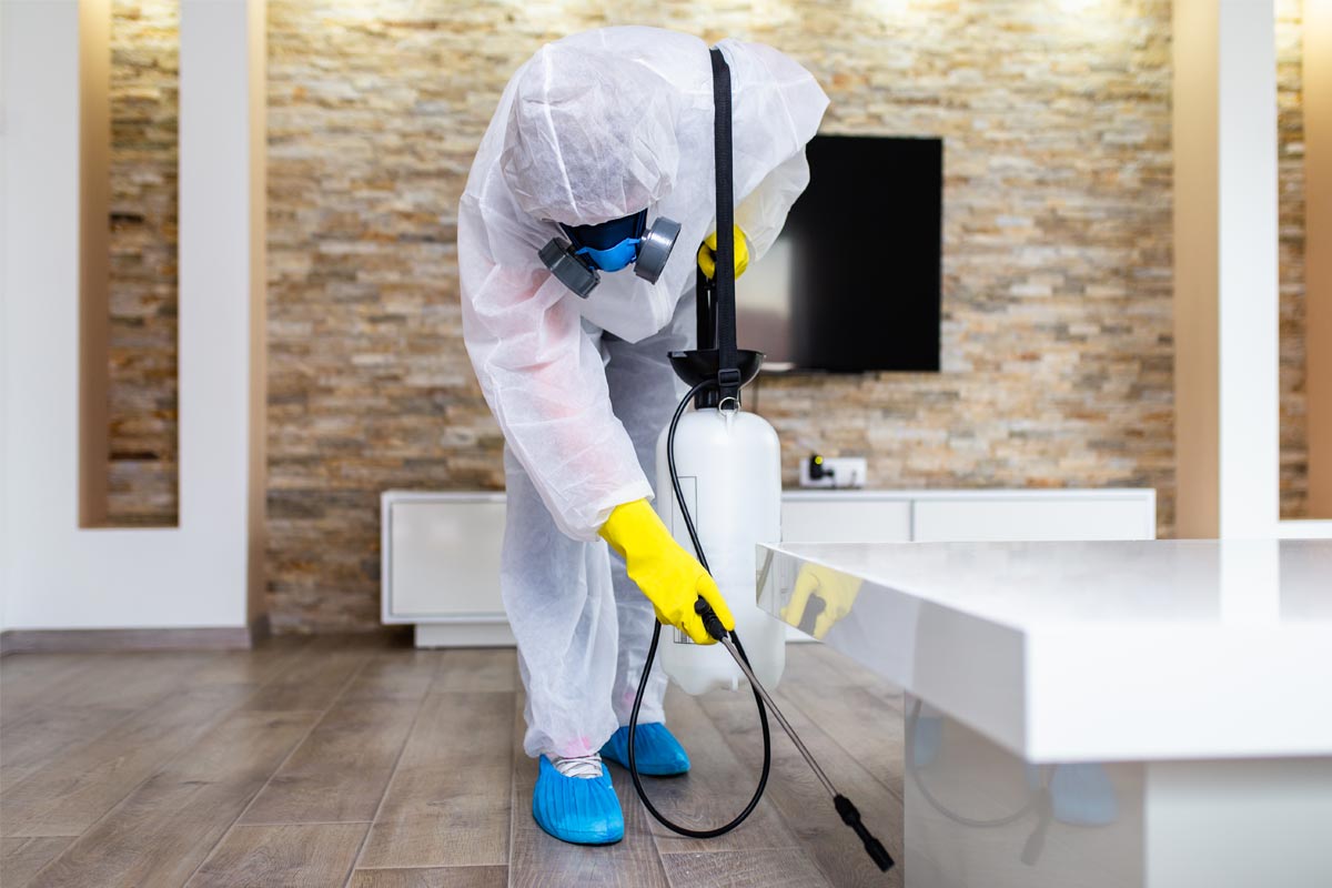 Skipping-Regular-Pest-Control-Services