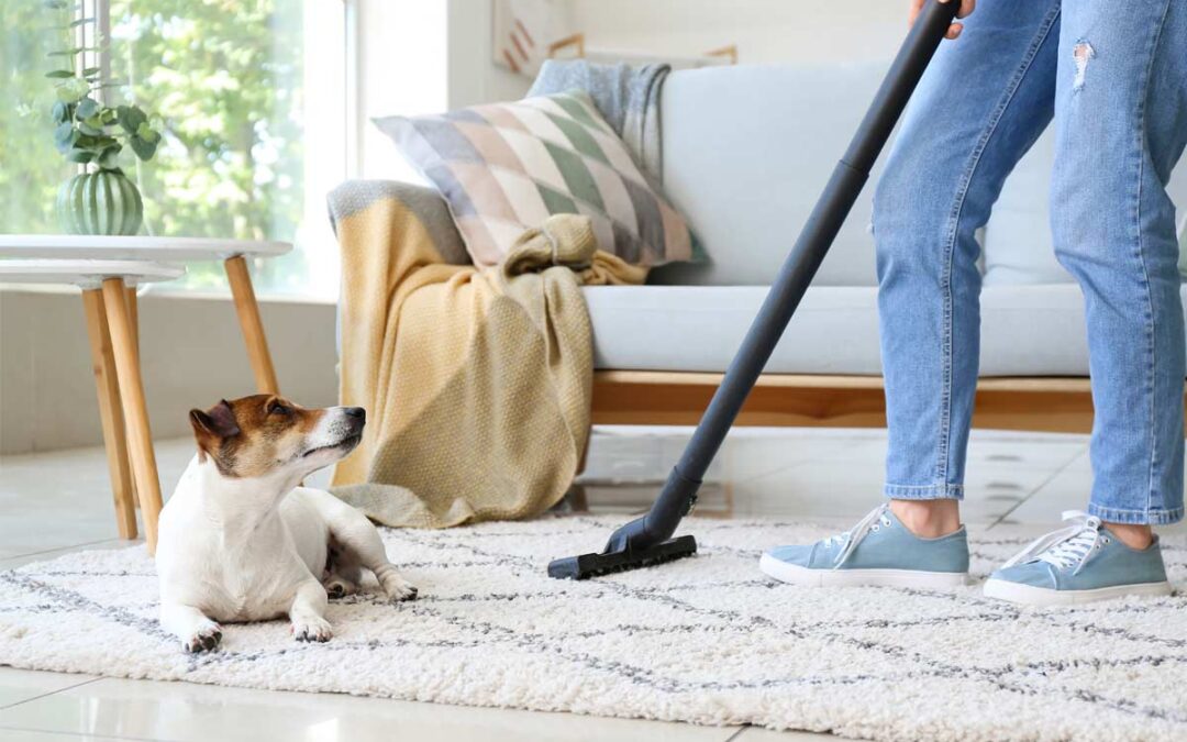 Spring Cleaning? Don’t Forget Pest Prevention