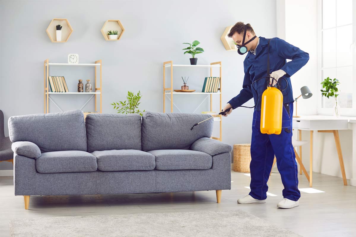 Smart-Pest-Control-Habits-Every-Condo-Owner-Should-Follow