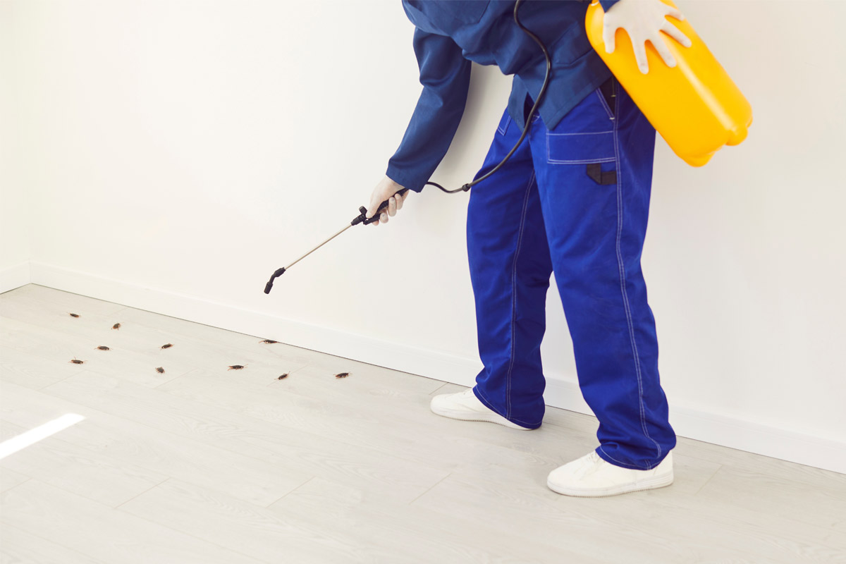 When-You-Should-Call-a-Pest-Control-Professional