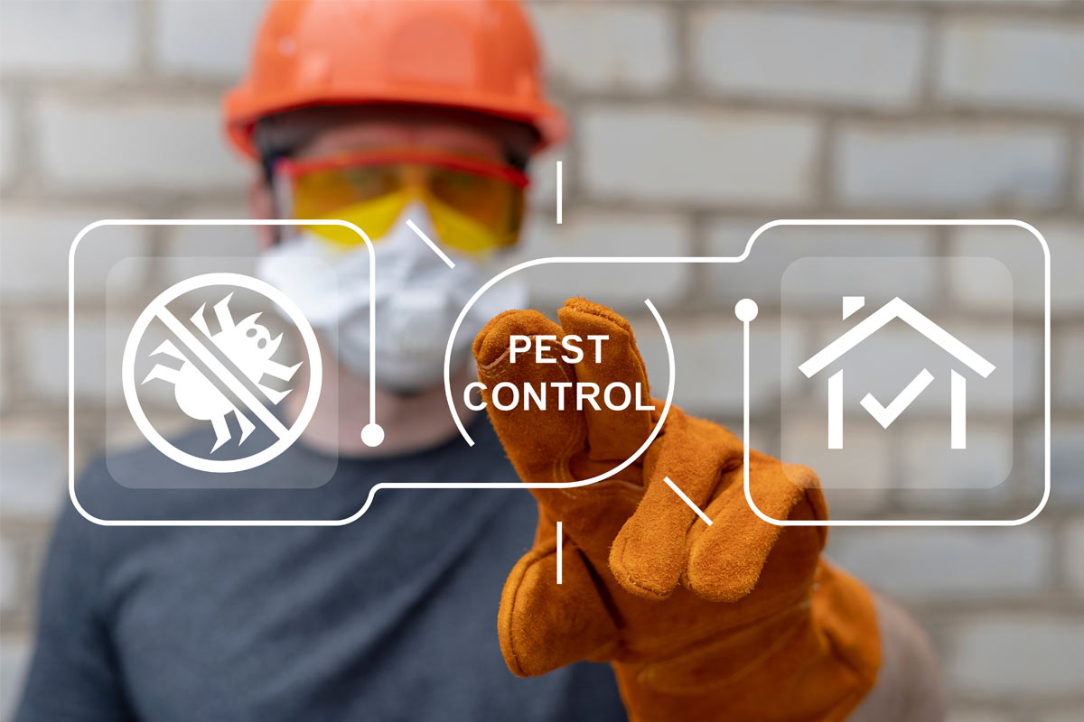 When-to-Call-a-Pest-Control-Professional
