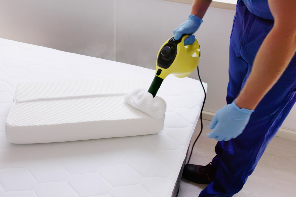 Comparing-Natural-Remedies-and-Modern-Pest-Control