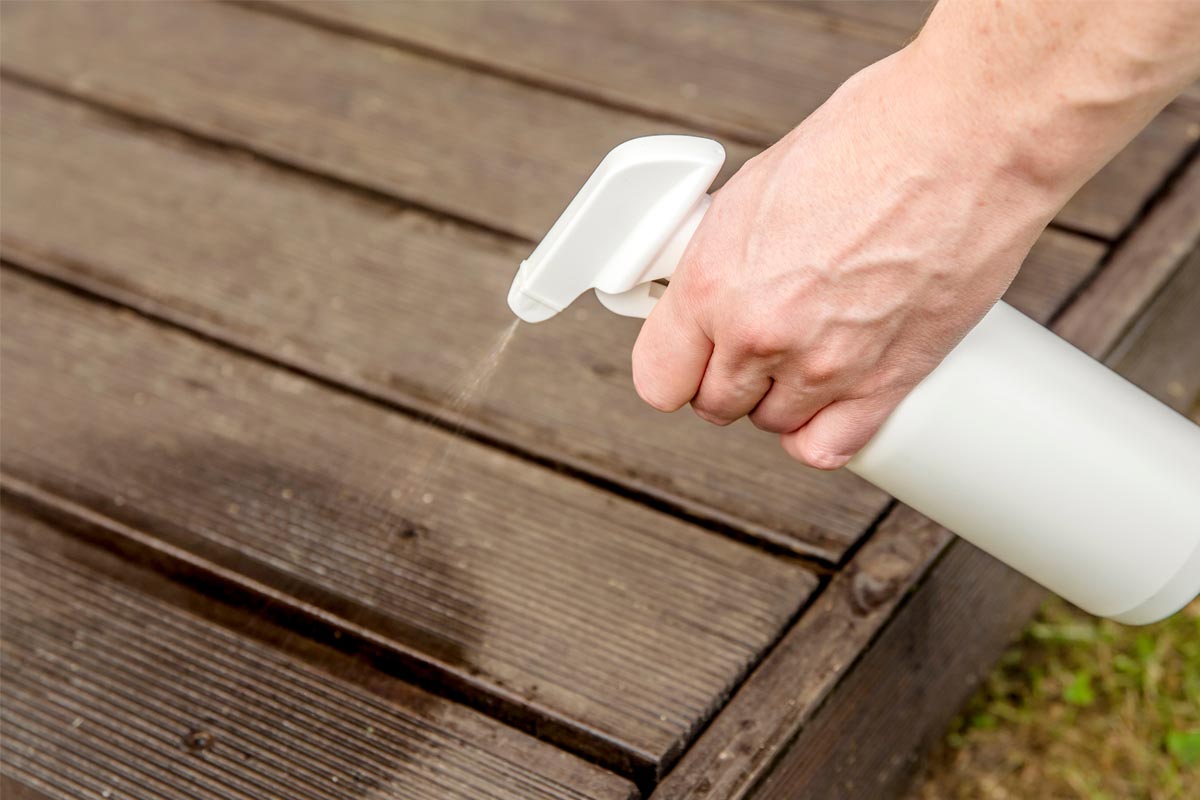 Keeping-Ants-Out-Before-They-Get-In