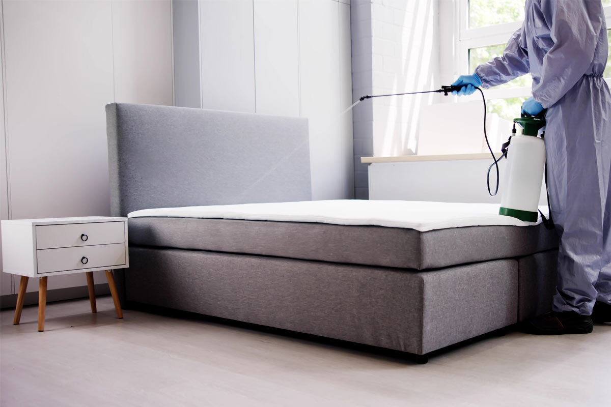 What-to-Expect-from-a-Pest-Control-Visit