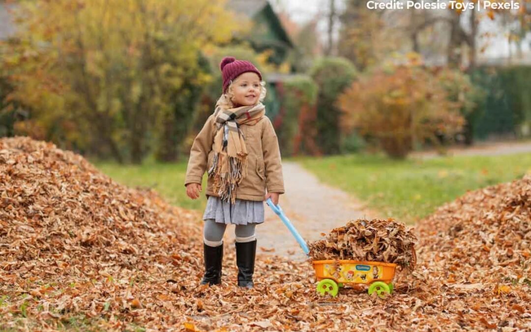 Fall-Leaf-Piles-and-Pest-Control