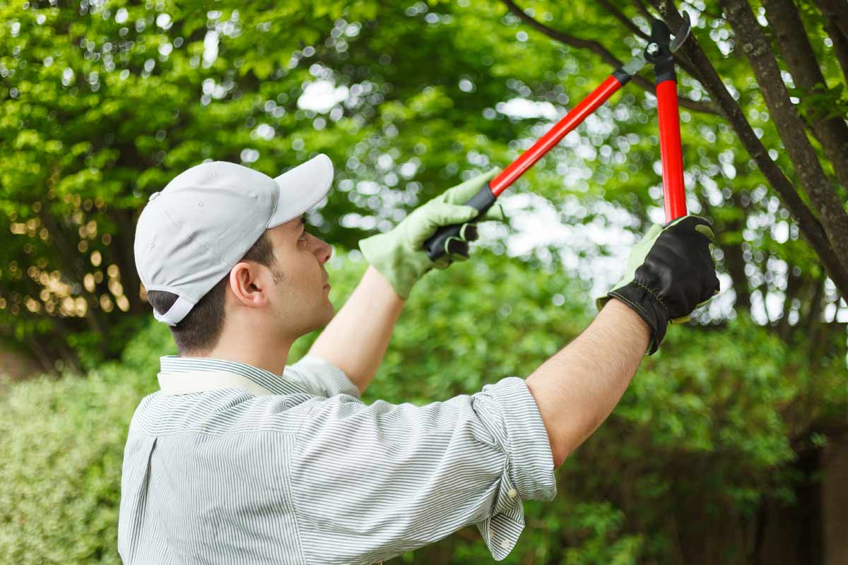 Long-Term-Strategies-for-a-Stink-Free-Home