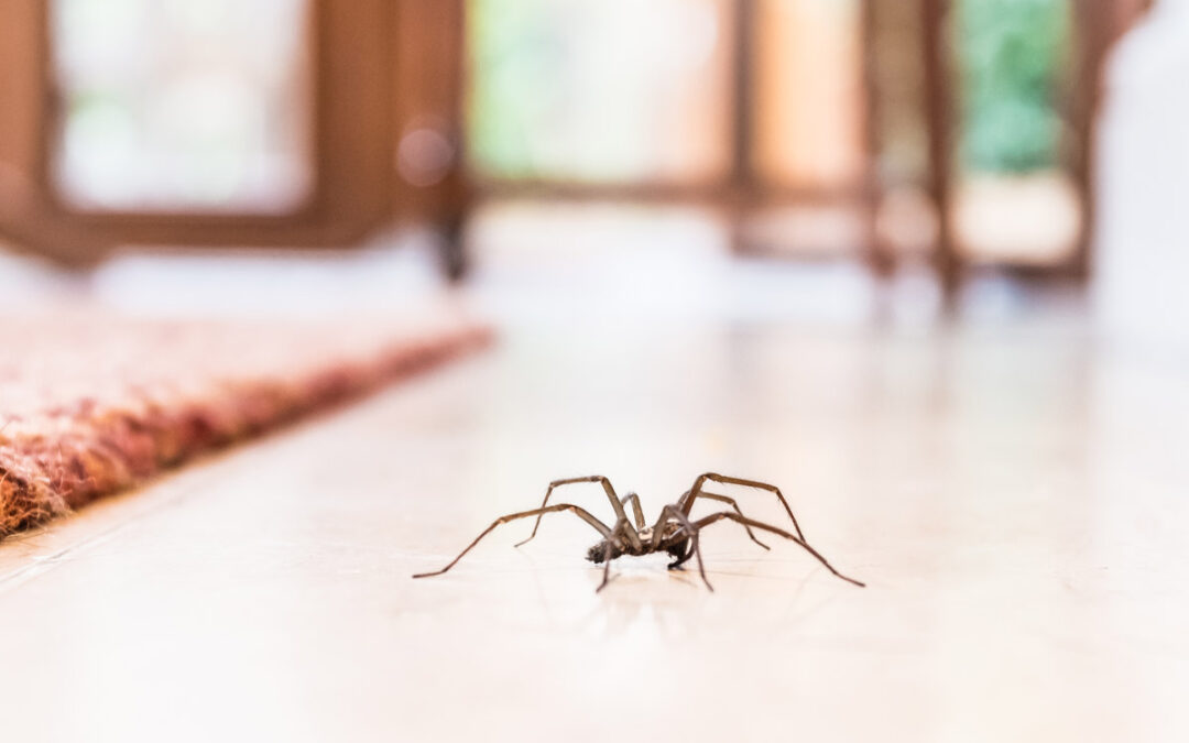 Pest-Control-Made-Easy