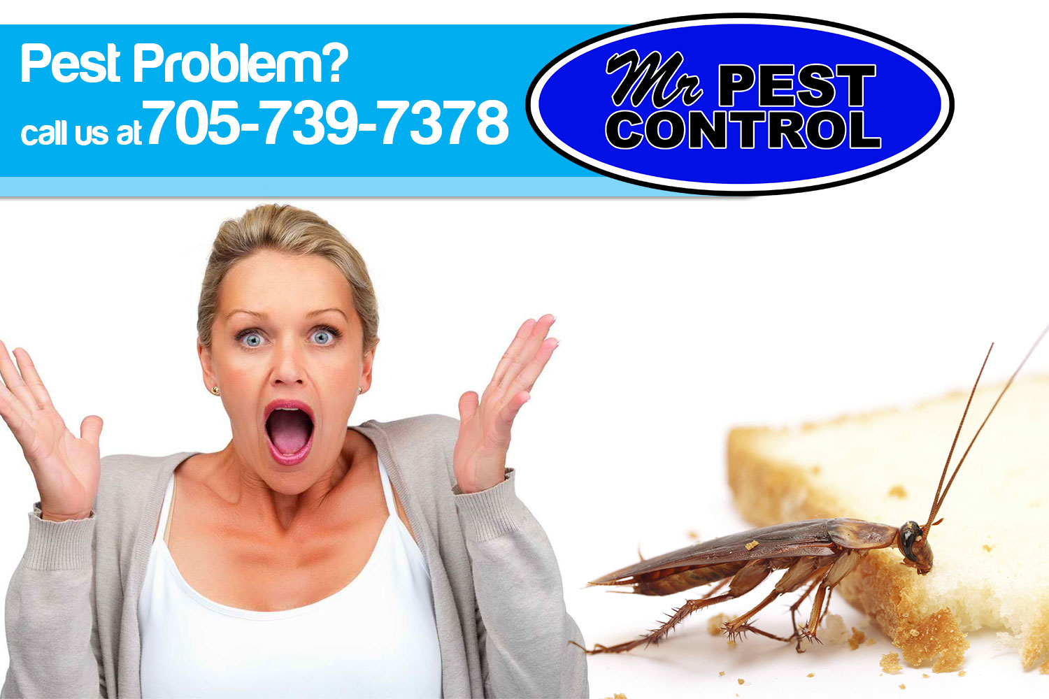 Pest-Control-Service-Shanty--Bay-ON_1