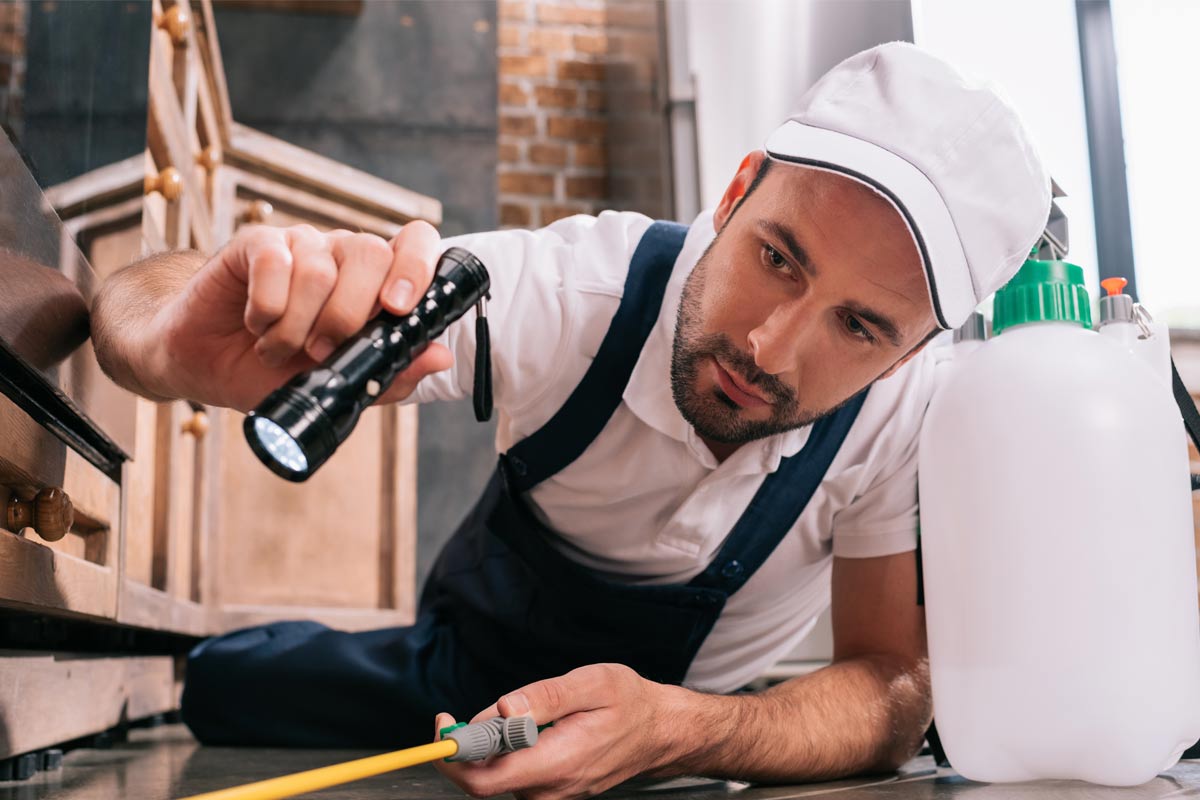 Why-a-Professional-Approach-Makes-Prevention-Easy