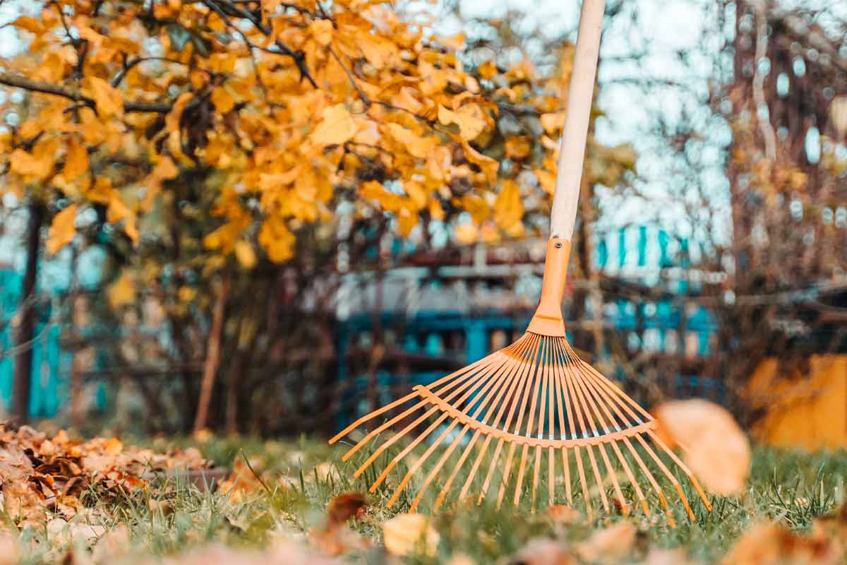 Your-Proactive-Cleanup-Plan